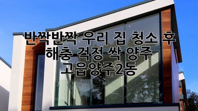 ✨ 반짝반짝 우리 집! 청소🧹 후 해충 걱정 싹! (양주 고읍/양주2동)