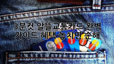 3분컷⏱️ 알뜰교통카드 완벽 가이드🚌💨 혜택 놓치면 손해!