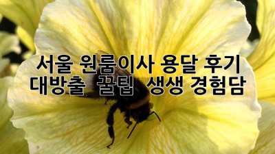 서울 원룸이사 용달 후기 대방출! 📦✨ 꿀팁 & 생생 경험담